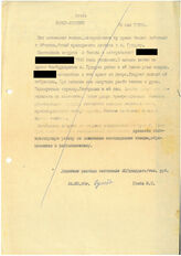 3. Отчет Амкор-Абхазия за подписью Гумба М.С. от 24.05.1995